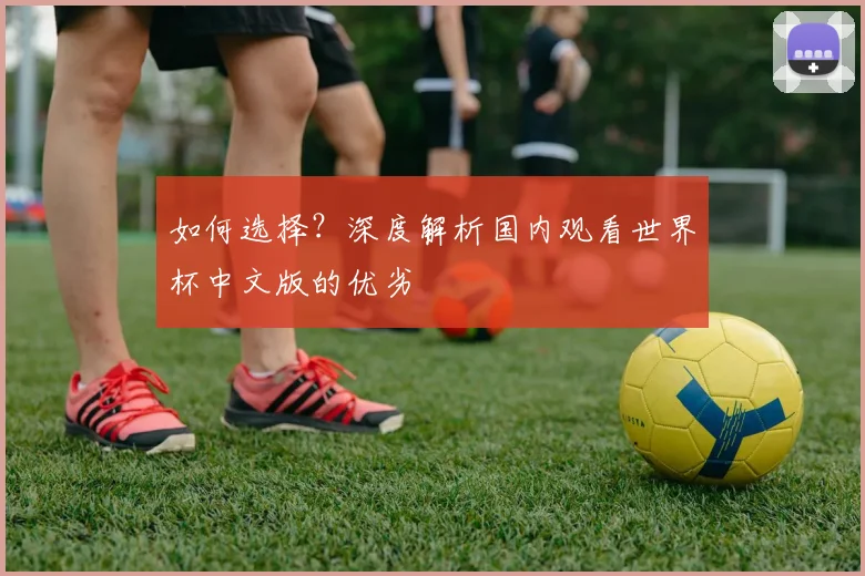 如何选择?深度解析国内观看世界杯中文版的优劣