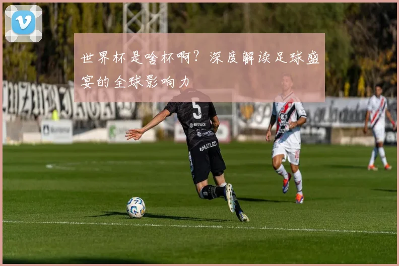 世界杯是啥杯啊?深度解读足球盛宴的全球影响力