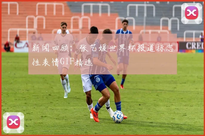 新闻回顾：张艺媛世界杯报道标志性表情GIF精选